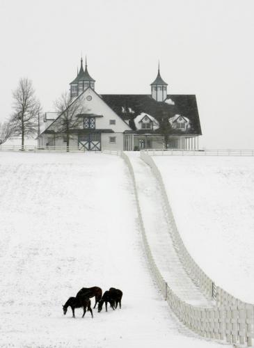 SommersPhoto-UK BOOK-002