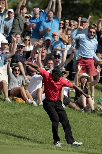 Tiger Woods of the U.S. reacts after chipping in for a birdie on the 16th hole during the final round of the Memorial Tournament at Muirfield Village Golf Club in Dublin